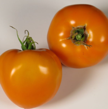 Wally's Spanish - Heirloom Tomato