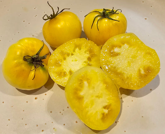 White Beauty - Heirloom Tomato