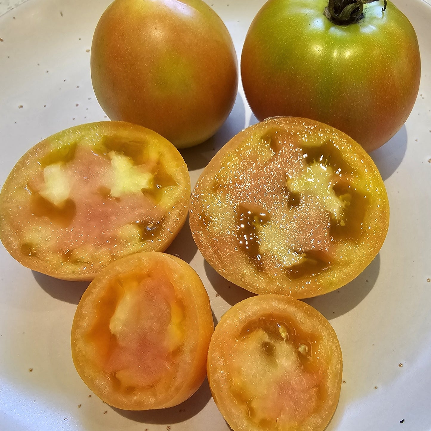 Yellow Out Red In - Heirloom Tomato